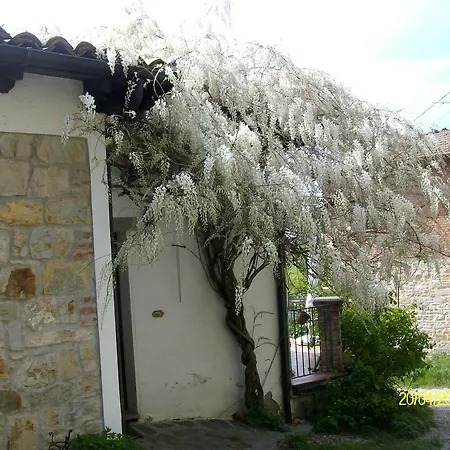 San Nicola