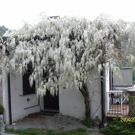 San Nicola 3* Serramazzoni