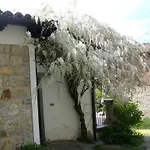 San Nicola