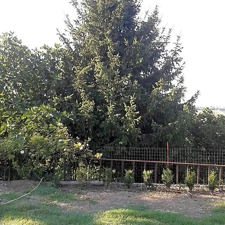 Bed & Breakfast San Nicola Serramazzoni