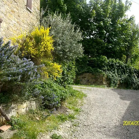 San Nicola 3* Serramazzoni