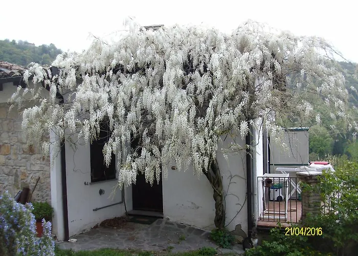 San Nicola 3* Serramazzoni