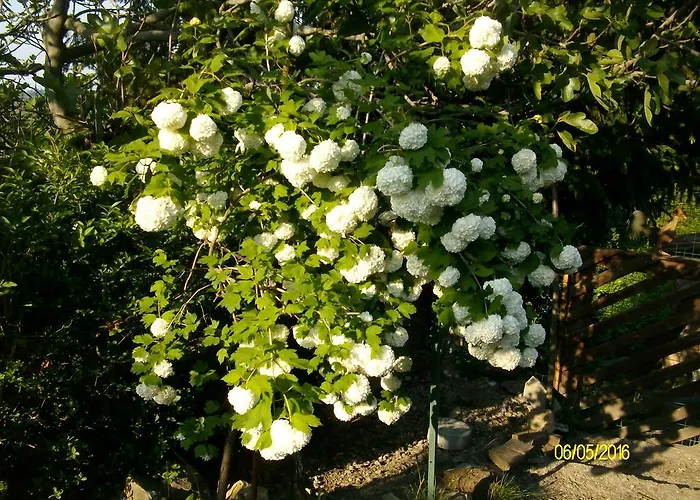 Nocleg ze śniadaniem San Nicola